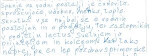 Mnenje uporabnika vodne postelje Lectus